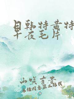 日韩特黄特刺激午夜毛片