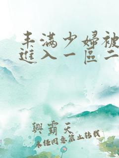 丰满少妇被猛烈进入一区二区