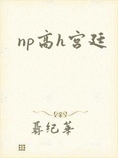np高h宫廷