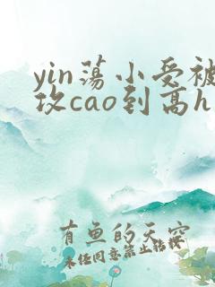 yin荡小受被攻cao到高h