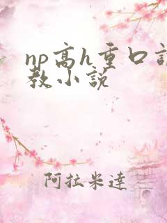np高h重口调教小说