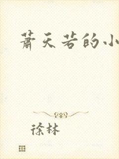 萧天若的小说