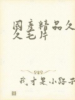 国产精品久久久久毛片