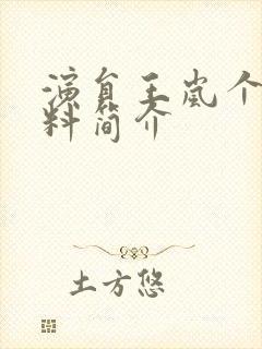 演员王岚个人资料简介