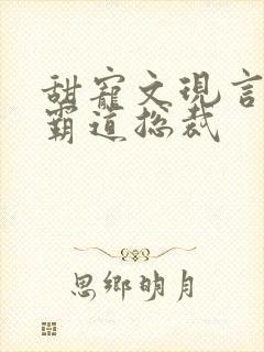 甜宠文现言推荐霸道总裁