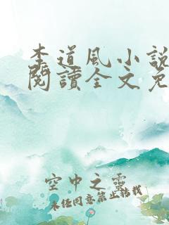 李道风小说在线阅读全文免费无弹窗