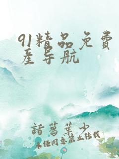 91精品免费国产导航