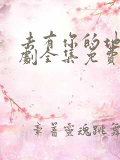 去有你的地方短剧全集免费观看