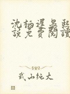 沈栖迟晏熙宁小说免费阅读最新章节