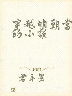 穿越明朝当崇祯的小说