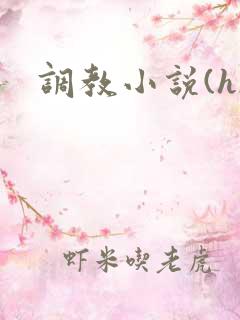 调教小说(h)