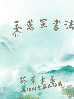 王万军书法家简介