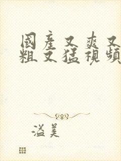 国产又爽又猛又粗又猛视频