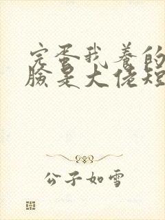 完蛋我养的小白脸是大佬短剧播放