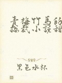 青梅竹马的霸道总裁小说甜宠文