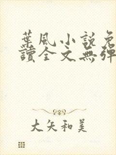 叶风小说免费阅读全文无弹窗