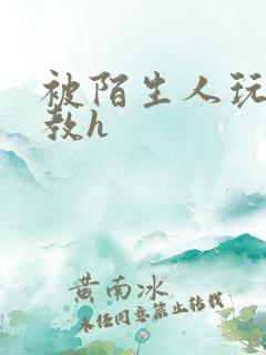 被陌生人玩弄调教h