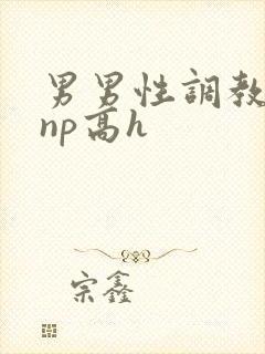 男男性调教小说np高h