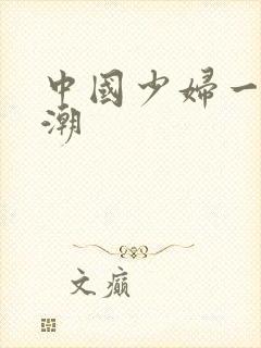 中国少妇一级高潮