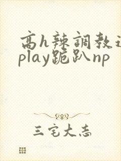 高h辣调教道具play跪趴np
