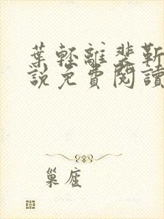 叶轻离裴靳墨小说免费阅读无弹窗