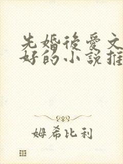 先婚后爱文笔超好的小说推荐