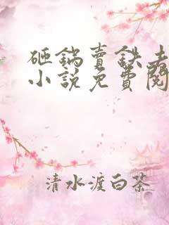 砸锅卖铁去上学小说免费阅读全文无弹窗