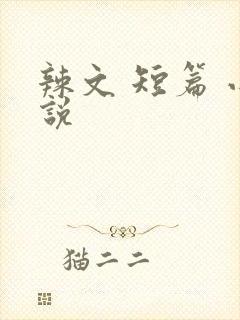 辣文 短篇 小说