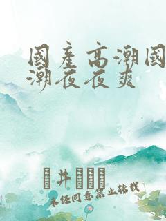 国产高潮国产高潮夜夜爽