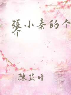 张小秦的个人简介