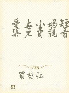 爱上小妈短剧全集免费观看高清