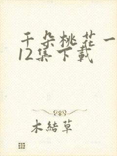 千朵桃花一世开12集下载