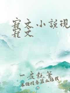 宠文小说现代甜宠文