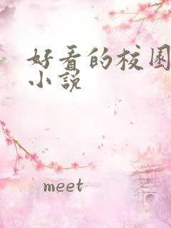 好看的校园甜宠小说