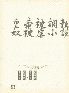 皇帝被调教成贱奴被虐小说