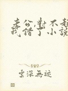 老公,对不起,我错了小说全文阅读