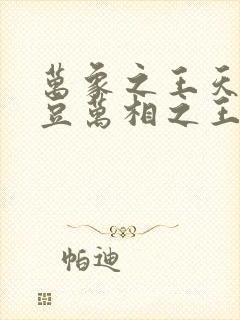 万象之王天蚕土豆万相之王