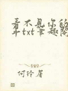 看不见你的第十年txt笔趣阁