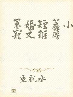 军婚短篇小说甜宠文推荐