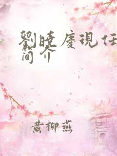 刘晓庆现任丈夫简介