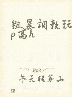 粗暴调教玩弄np高h