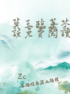 莫玉临华苓燕小说免费阅读最新章节