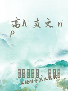高h 爽文 np