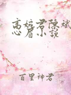 高婉君陈斌和赵心眉小说