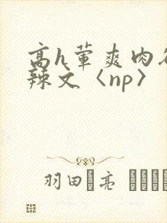 高h荤爽肉欲文辣文〈np〉