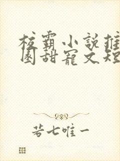 校霸小说推荐校园甜宠文短篇