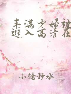 丰满少妇被猛烈进入高清在线观看