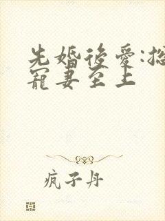 先婚后爱:总裁宠妻至上