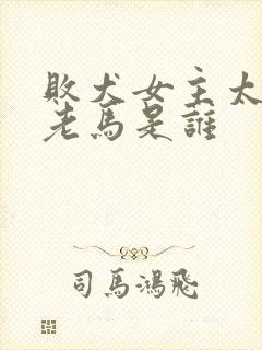 败犬女主太多了老马是谁