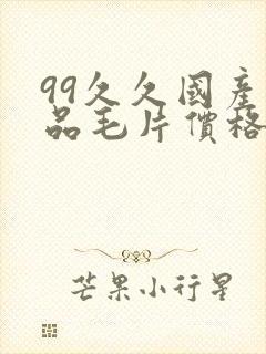 99久久国产精品毛片价格